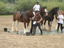 IMG_1463_web